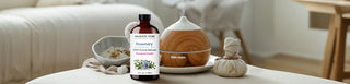 Essential Oils 101: A Beginner’s Guide to Aromatherapy