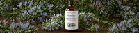 Rosemary Oil for Hair Growth