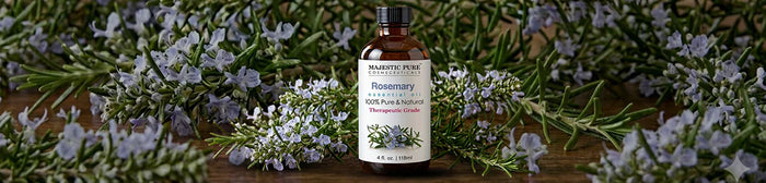Rosemary Oil for Hair Growth