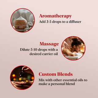 Rosehip Essential Oil | 100% Pure and Natural | 4 fl oz