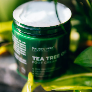 Tea Tree Foot Cream with Aloe Vera Extract - 8 oz