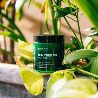 Tea Tree Foot Cream - Majestic Pure Cosmeceuticals