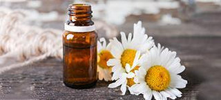  CHAMOMILE ESSENTIAL OIL