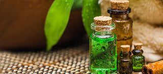 pure tea tree essential oil 