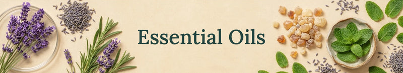 
  
    Essential Oils - Majestic Pure Cosmeceuticals
  
  treatment products collection