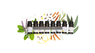 Essential Oils - Majestic Pure Cosmeceuticals