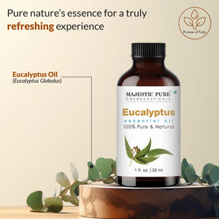 
  
    Eucalyptus Essential Oil | 100% Pure and Natural | 1 fl oz
  
