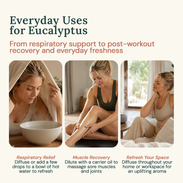 
  
    Eucalyptus Essential Oil | 100% Pure and Natural | 4 fl oz
  
