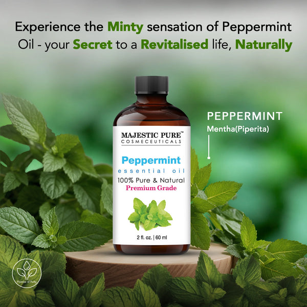 
  
    Peppermint Essential Oil | 100% Pure and Natural |  2 fl oz
  
