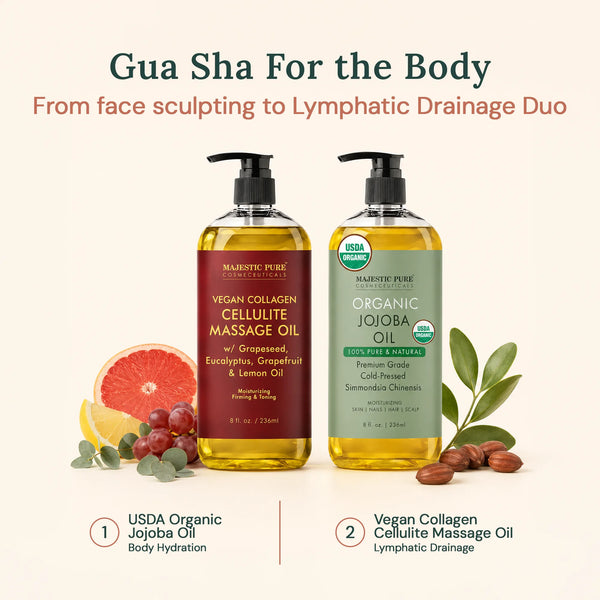 
  
    Facial Recovery System
  
