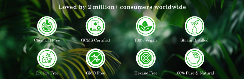 
  
    Claims_Banner_Website_Banner_2780_x_900_01
  
