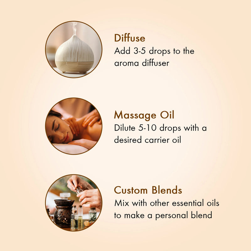 
  
    Yoga Essential Oil Gift Set | Pack of 6 - 3 fl oz each
  
