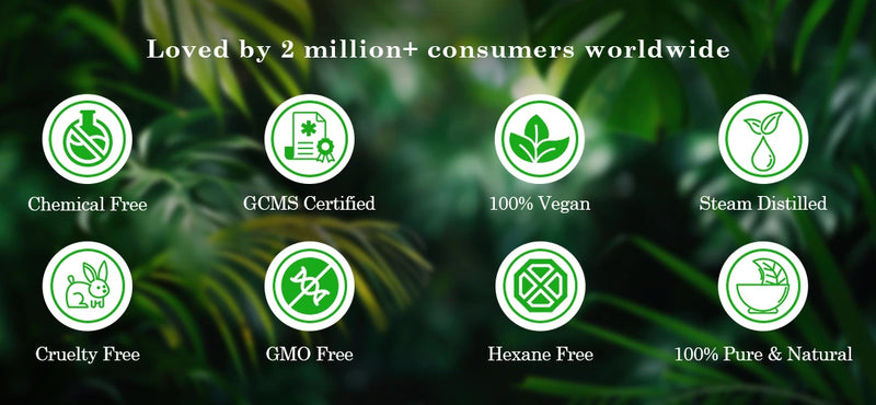 
  
    Essential_Oil_Website_Banner_1080_x_500_01
  
