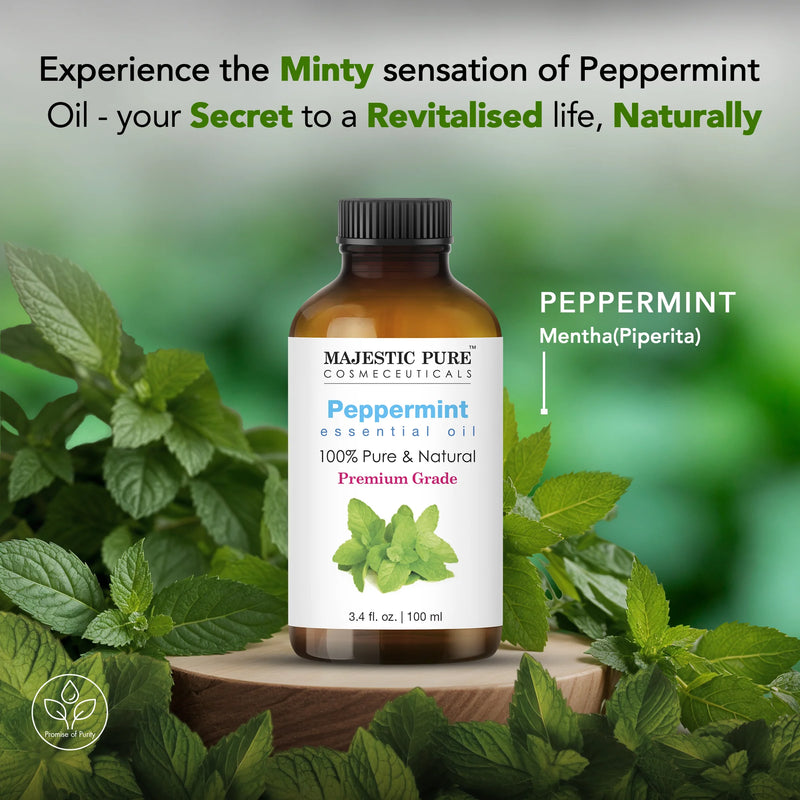 
  
    Peppermint Essential Oil |  100% Pure and Natural |  3.4 fl oz
  
