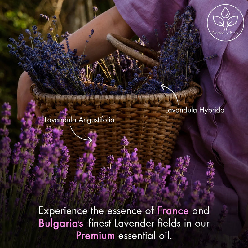 
  
    Frankincense + Lavender Essential Oil Duo
  
