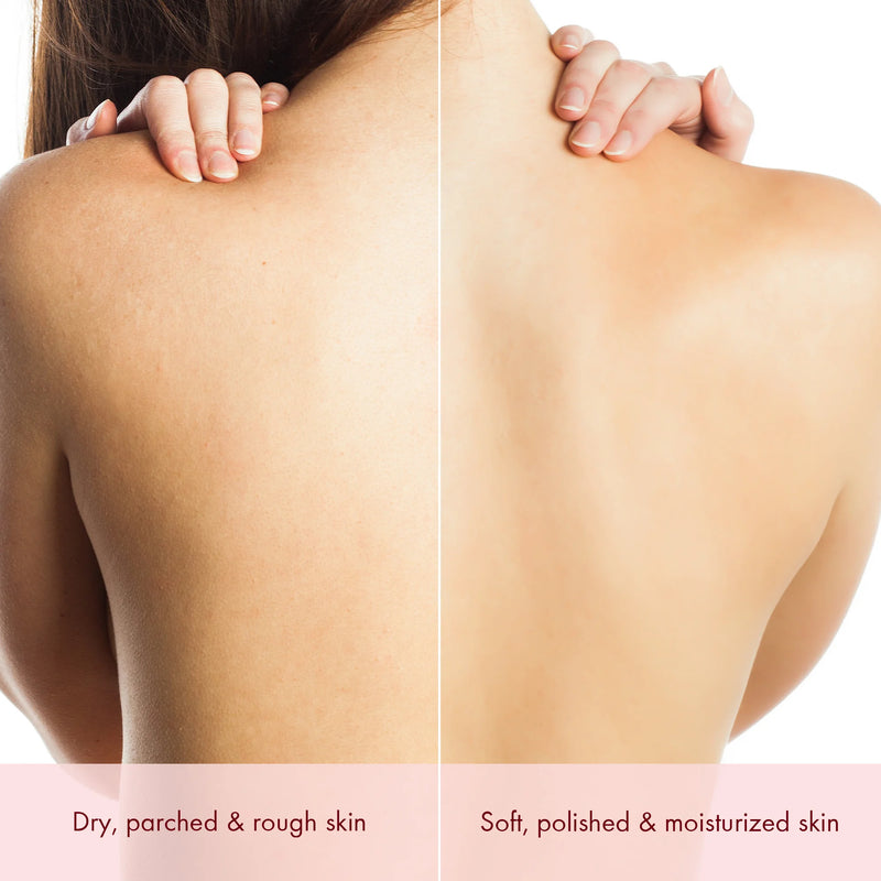 
  
    Moisture Bloom Body Oil with Cocoa Butter and Rosehip Oil | 3.4 fl oz
  
