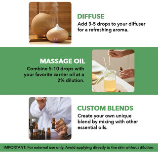 
  
    Tea Tree Essential Oil | 100% Pure and Natural | 3.4 Fl Oz | Pack of 2
  
