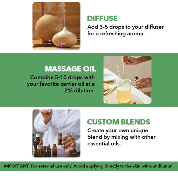 
  
    Tea Tree Essential Oil | 100% Pure and Natural | 3.4 Fl Oz | Pack of 2
  
