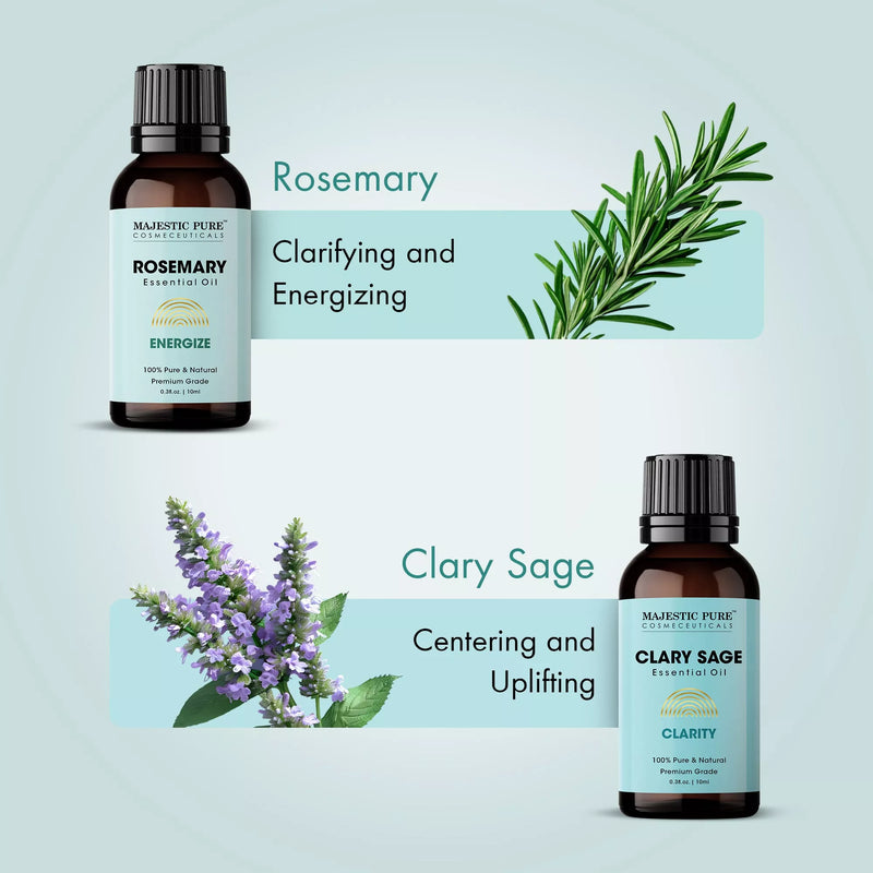 
  
    Zen State Of Mind Essential Oil Gift Set | Pack of 4 x 0.3 Fl Oz
  
