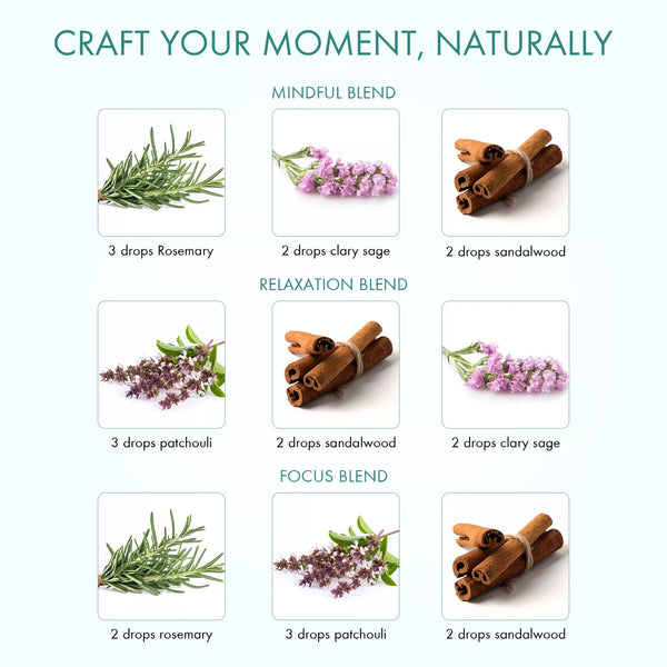 
  
    Zen State Of Mind Essential Oil Gift Set | Pack of 4 x 0.3 Fl Oz
  
