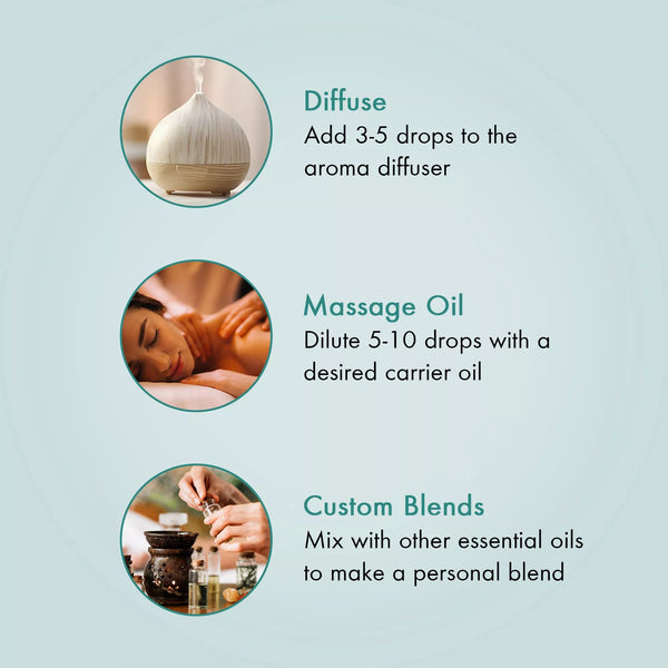 
  
    Zen State Of Mind Essential Oil Gift Set | Pack of 4 x 0.3 Fl Oz
  
