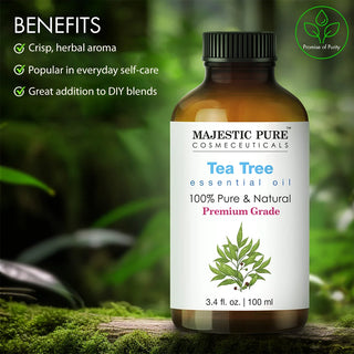 
  
    Tea Tree Essential Oil | 100% Pure and Natural | 3.4 Fl Oz | Pack of 2
  
