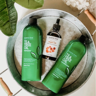 Tea tree oil shampoo for deals