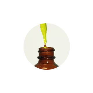Helichrysum Essential Oil (1 oz)