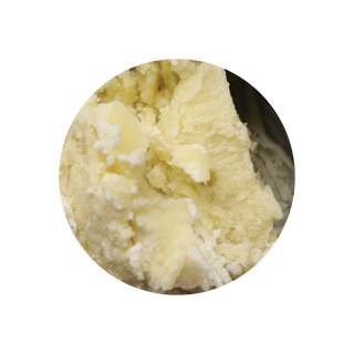 Shea Butter (16 oz) - Majestic Pure Cosmeceuticals